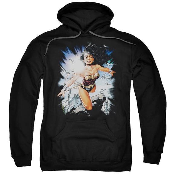 Trevco Jla-Of Themyscira Adult Pull-Over Hoodie- Black - Large
