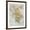 Brown Frame, variant on Art.com Old Map Of Ancient Greece Art Print by marzolino, 18" x 24"