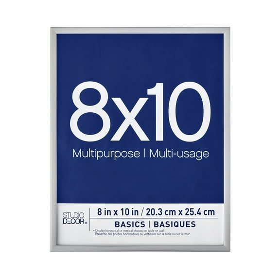 Basics Silver Multipurpose Frame by Studio Decor