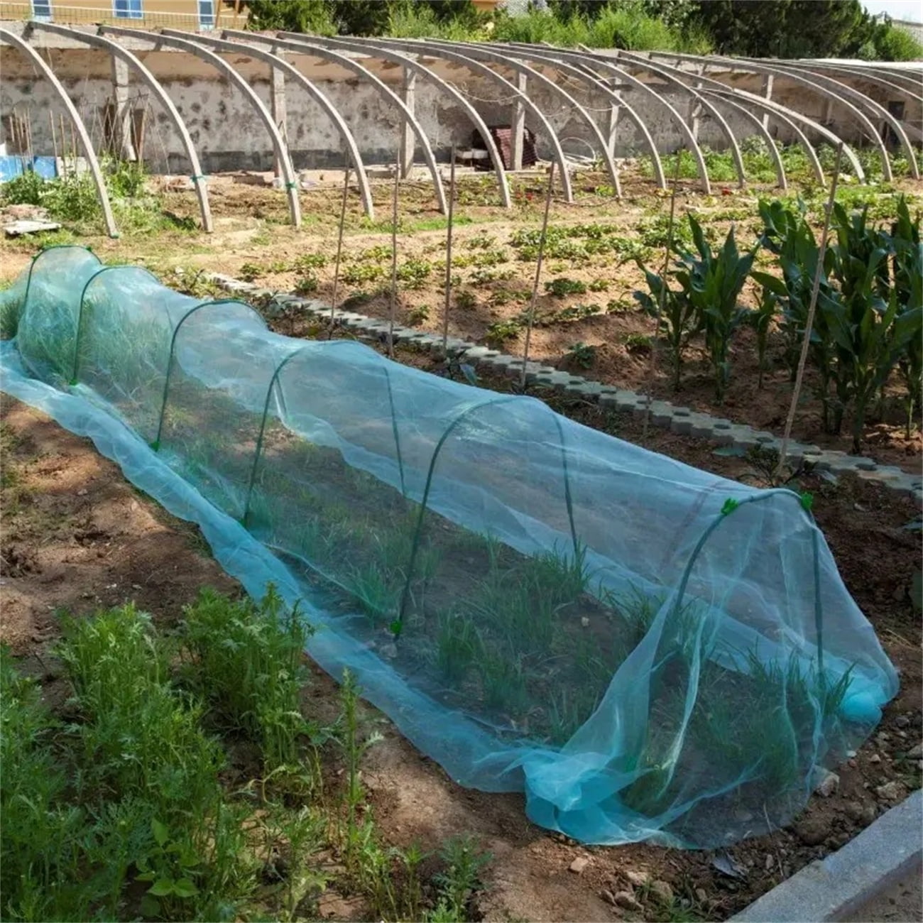 Garden Netting,Bexikou 6.56x32.8Ft Plant Covers,Ultra Fine Mesh Netting Pest Barrier,Mosquito Net for Vegetables Fruits Flowers Crops Garden