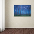 thumbnail image 3 of Jingshu Zhu 'Fairyland' Canvas Art, 3 of 3