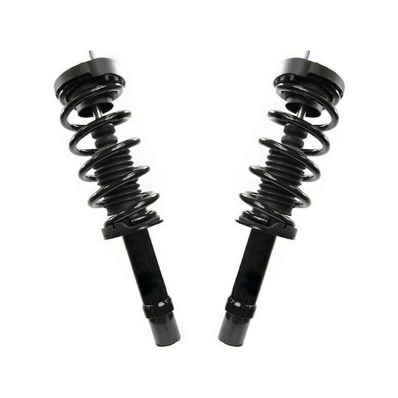Front Strut Assembly Set - Compatible with 2012 - 2022 Chrysler 300 3.6L V6 2013 2014 2015 2016 2017 2018 2019 2020 2021