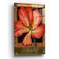 thumbnail image 1 of Epic Art 'Embellished Parrot Tulip I' by Tim O'Toole, Acrylic Glass Wall Art, 24"x36", 1 of 3