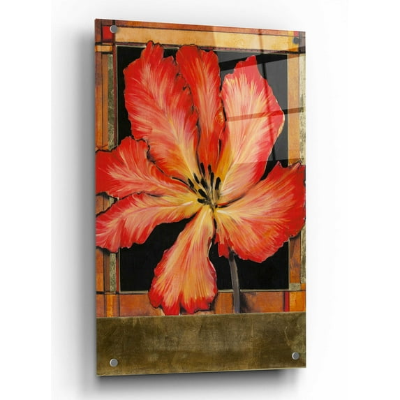 Epic Art 'Embellished Parrot Tulip I' by Tim O'Toole, Acrylic Glass Wall Art, 24"x36"