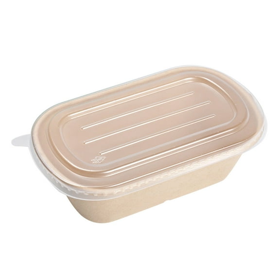 REOFLYUP Lunch Boxes Clear 10Pcs 9.1x5.2x1.9in