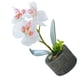 thumbnail image 5 of Orquídea artificial Flor y maceta Simulación Flor en maceta Mesa de oficina en casa Decoración floral falsa, JH1734, Blanco Methold HA7712-02B, 5 of 6