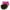 Hot Pink, variant on Jacenvly New Summer Shorts for Women 2Pcwomen Casual Summer Sports Shorts Workout Yoga Shorts Active Shorts Breathable Elastic High Waistleisure Womens Plus Size Shorts Black