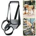 thumbnail image 6 of Dog Sling for Back Legs Support Adjustable Dog Lift Harness Back Padded Support Strap for Puppy Injuries Joint Recovery, 6 of 8