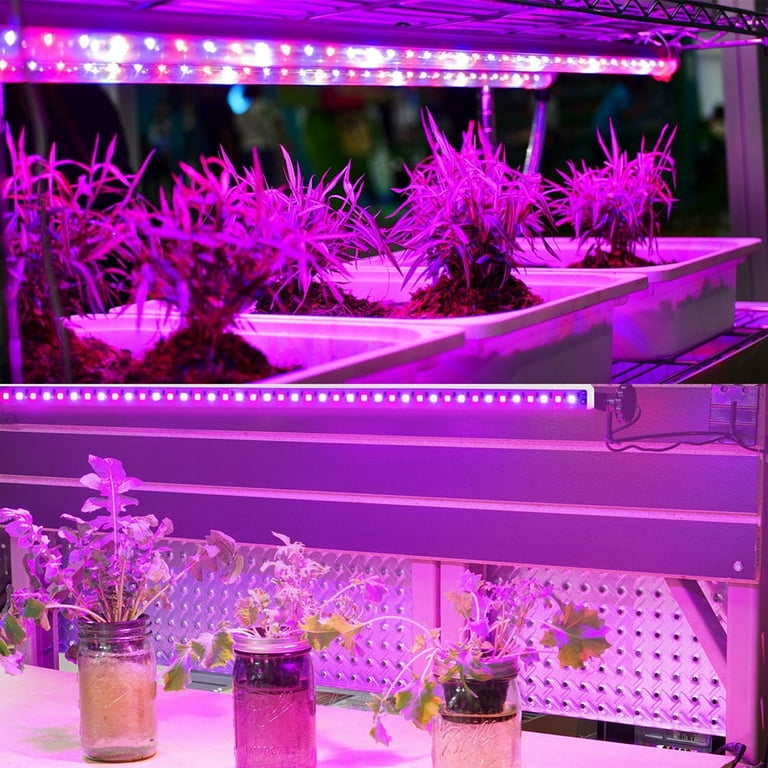Led Grow Lights Strips for Indoor Plants, Sunlight Full Spectrum 42-288  LEDs Plant Growing lamp with 8/12/16H Timer & 5 Dimmable Levels USB Plug-in  ...