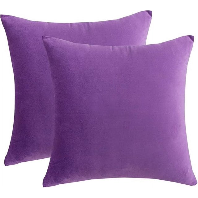 Cterwk - Juego de 2 fundas de cojín de terciopelo suave y liso, decorativas, cuadradas, para sofá, dormitorio, coche, 40,6 x 40,6 cm