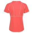 thumbnail image 3 of Regatta - Camiseta Devote II para Mujer (Melocotón Neón), 3 of 4