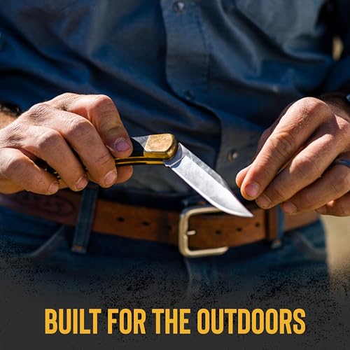 Buck Knives 110 Folding Hunter Knife with Grooves, 3-3/4" Hunting Knife Blade, Ebony Handle, 7.2 oz