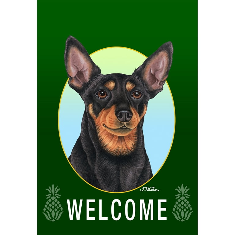 Miniature Pinscher Black White Cropped Best of Breed Welcome