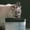 Green, variant on Large Capacity USB Cat Dog Water Feeder with Circulating Filtered Water for Silent Operation and Efficient Hydration