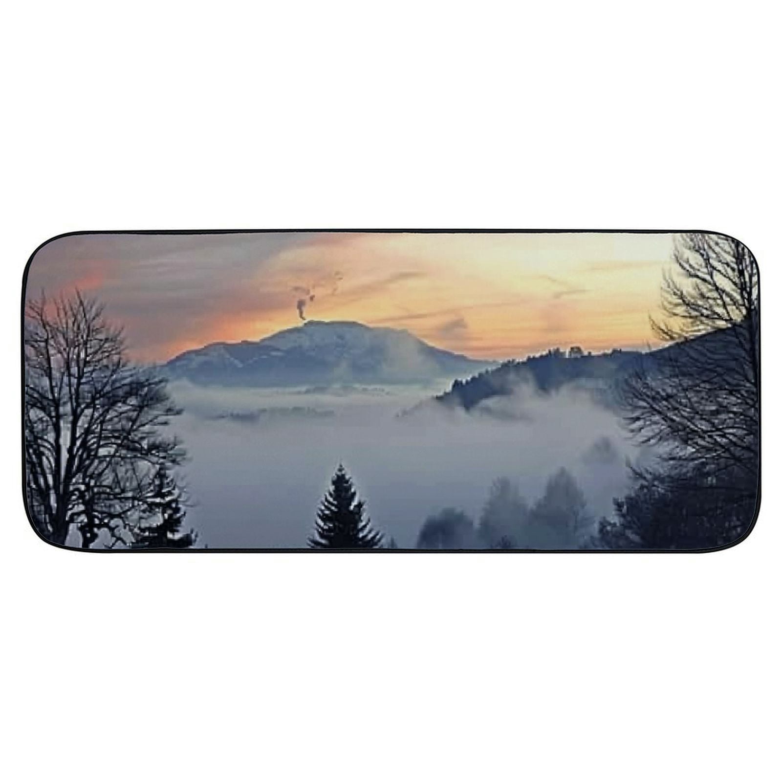 PHYHOO Decorative Door Mat, Door Mat with Non-Slip Rubber Backing, Easy Cleaning, Traps Dirt, Rug for Entry, Patio, Garage - Black Forest Rhine Valley Winter Clouds Panorama 19.68*47.24 in