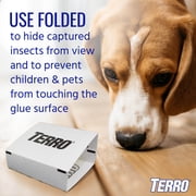 Terro Spider & Insect Traps, 10 Pack