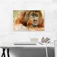 thumbnail image 2 of ARTCANVAS Orangutan Monkey Home decor Canvas Art Print - Size: 26" x 18" (0.75" Deep), 2 of 9