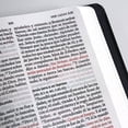 thumbnail image 4 of Biblia Rvr 1960 Letra Grande TamañO Manual, Con Nombres De Dios, Cordero De, 4 of 5