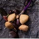 thumbnail image 2 of Campanillas de viento de cáscara de nuez natural para yoga y meditación | Instrumentos de cuerda de concha hechos a mano para la atención plena, 2 of 2