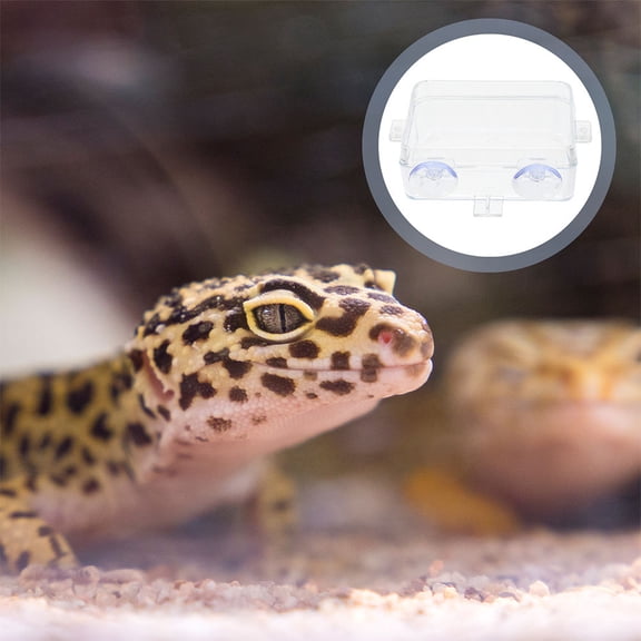 HAKIDZEL Water Dispenser Round 1Pcs 5.3x2.6x1.4in