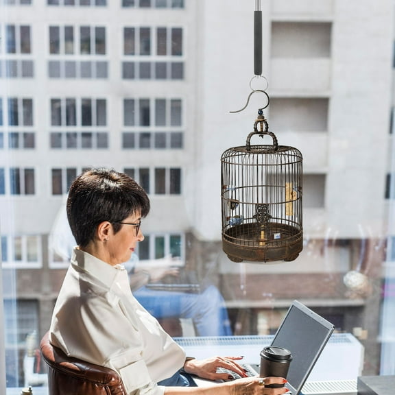 Luxshiny Adjustable Black Stainless Steel Birdcage Hanging Stand with Telescoping Extension for Indoor Ceiling