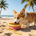 thumbnail image 5 of Dog Bowl Silicone Foldable Portable BPA-Free No Leak Travel Cup for Outdoor Camping Small Medium Pets by MPOISVA, 5 of 7
