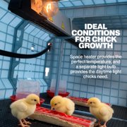 Hatching Time Chick Brooder - 2 Section H:15 (Power-Washable, Durable, ABS Plastic) | Ciimuka