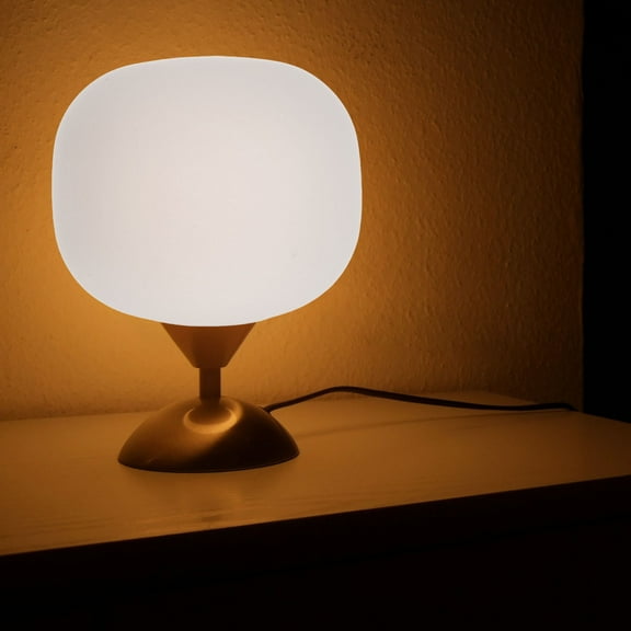 WHAMVOX Frosted Glass Light Shade White Glass Lamp Cover Round Glass Globe Shade Home Lighting Replacement for Ceiling Wall Light Fixtures