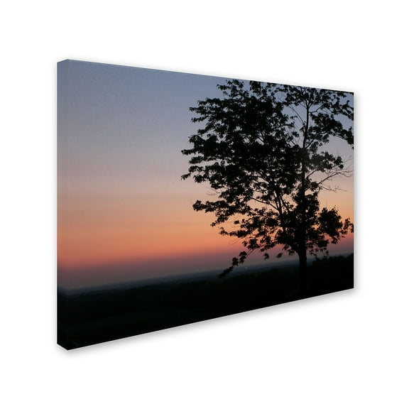 Trademark Fine Art "Soothing Symmetry" Canvas Art by Monica Fleet