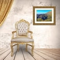 thumbnail image 3 of Tenoever, William 18x15 Gold Ornate Wood Framed with Double Matting Museum Art Print Titled - Chiricahua 5, 3 of 4