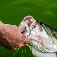 thumbnail image 2 of 6th Sense – Axle Swimbait Jig Head for Heavy Cover, Weed-Resistant Swimbait Head for Vegetation, Brush, and Docks, 2 of 6