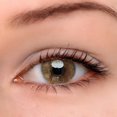 thumbnail image 4 of 2pcs 14.2mm Lentes de Contacto de Color Anuales Lentes de Color 0 Grados Accesorio Cosmético para OjosMarrón, 4 of 6
