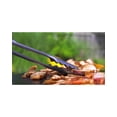 thumbnail image 4 of Stainless Steel Grill Locking Tongs, Scalloped Gripping Edge, 4 of 4