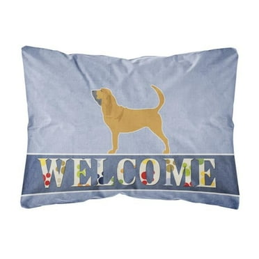 Carolines Treasures BB5488PW1216 Bloodhound Welcome Canvas Fabric Decorative Pillow, 12H x16W, multicolor