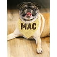 thumbnail image 2 of Mac N Cheese Pet Bandana  -Smartprints Designs,  x-Large, 2 of 5
