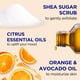 thumbnail image 2 of Exfoliante corporal Dr. Teal's Shea Sugar Citrus con aceites esenciales 570 ml, 2 of 9