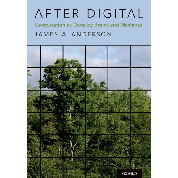 After Digital: Computation as Done by Brains and Machines