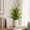 Green Size C M8, variant on Kmonabie Realistic Persian Grass Artificial Plants, Plastic Potted Greenery for Living Room Shelf Fireplace Countertop Office Decor, Maintenance Free Faux Ferns with Compact Size