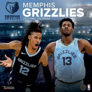  Trends International Gallery Pops NBA Memphis Grizzlies -  Primary Logo Wall Art, Black Framed Version, 12'' x 12'': Posters & Prints