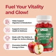 thumbnail image 2 of YUM-V's Apple Cider Vinegar Gummies with Ginger and The Mother, Gluten Free, Apple Flavored, 60 Count, 2 of 7
