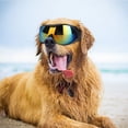 thumbnail image 4 of UV Goggles Sunglasses for Medium and Large Dogs, 400UV Protective Lens, Dust and Wind Protection, Adjustable Headband, 4 of 7
