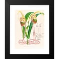 thumbnail image 2 of Jean Jules Linden 14x18 Black Modern Framed Museum Art Print Titled - Selenipedium Oaudatum (1885-1906), 2 of 5