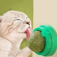 thumbnail image 2 of The Catnip Cat Wall Stick-on Ball Toy Scratchers Treats Healthy Natural Removes Balls to Promote Digestion Cat Grass Snack, 2 of 9
