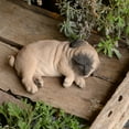 thumbnail image 1 of 8" Sleeping Pug Garden Statue, 1 of 4