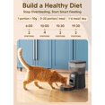 thumbnail image 4 of Dispensador automático de alimento para gatos CORGOTE 4 L con fuente de agua de 2 L, 4 of 8