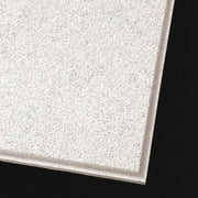 Armstrong Ceiling Tile,24 in L,24 in W,PK10 556E