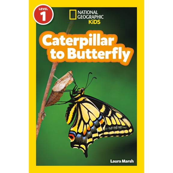 Caterpillar to Butterfly (Paperback)