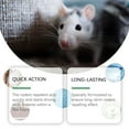 thumbnail image 3 of Kqiang Mint-Scented Mouse Repellent Spray, 150ml Natural Insect Spray for Rodent Control and Prevention, 2 Pack, 3 of 14