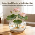 thumbnail image 3 of Lotus Bowl Planter with Rattan Mat, 10 in Clear Glass Hydroponic Bowl, Indoor Aquatic Plant Terrarium for Lotus and Water Greens, Transparent Decorative Lotus Pot, Fish Tank, 3 of 6