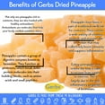 thumbnail image 3 of GERBS Dried Pineapple Cubes 2 LBS. | Freshly Dehydrated Resealable Bulk Bag | Top Food Allergy Free | Sulfur Dioxide Free Diced Pineapple|Effective in acne flairs & bone health | Gluten & Peanut Free, 3 of 9